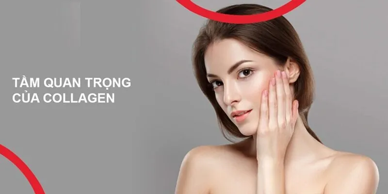 Những lợi ích khi nạp collagen